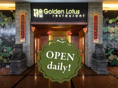 Golden Lotus opens Daily!
